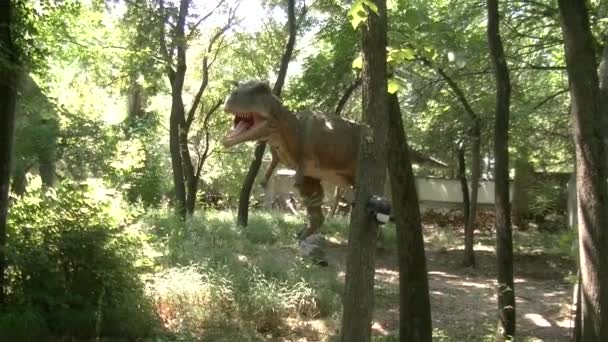 在动物园里的恐龙公园 — 图库视频影像