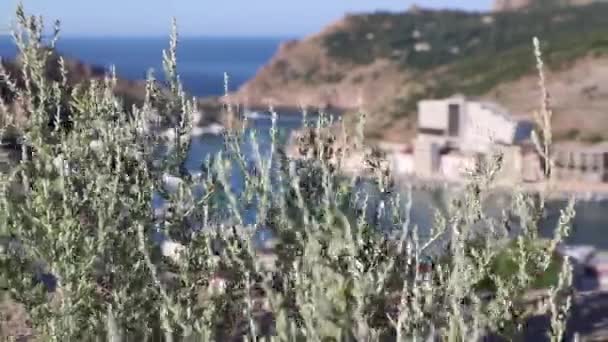 Un balneario en las montañas, una bahía de mar con yates disparados a través de la hierba — Vídeo de stock