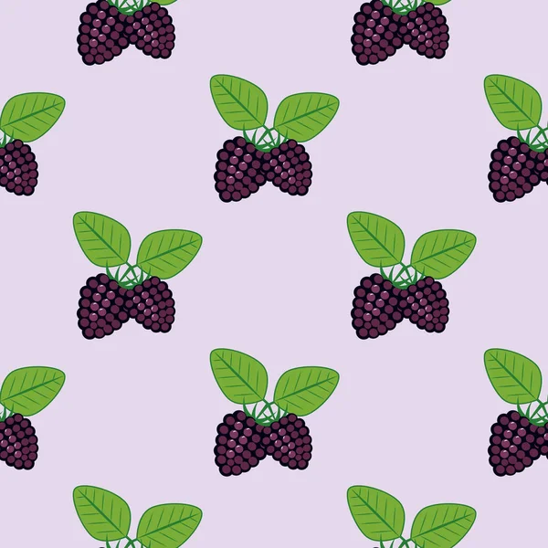 Seamless pattern from blackberry. — Stock Vector