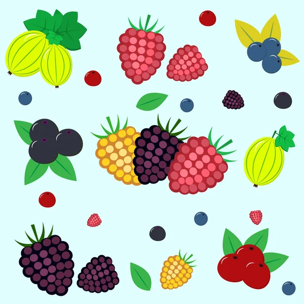 Illustration of different kinds of berries. — Stock Vector