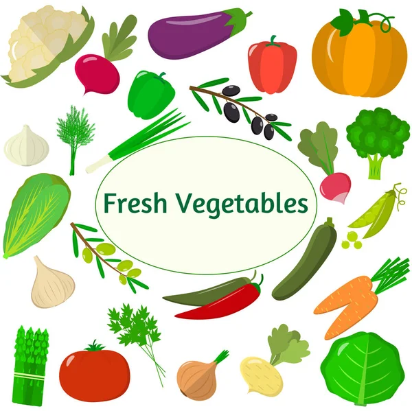 Conjunto de verduras. Alimento orgánico vegetariano sano aislado sobre fondo blanco. Vector . — Vector de stock