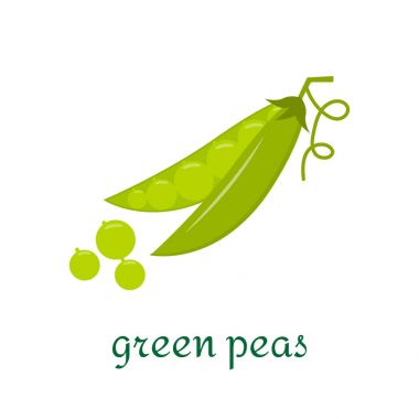Beyaz zemin üzerine yeşil bezelye. Vektör çizim