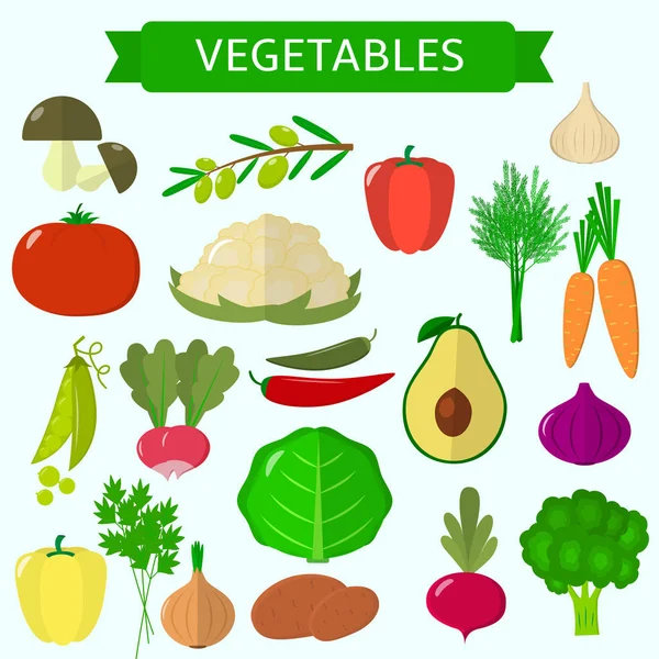Zöldségfélék gyűjteménye. Vegetáriánus egészséges bioélelmiszer elszigetelt fehér background. Vektor. — Stock Vector
