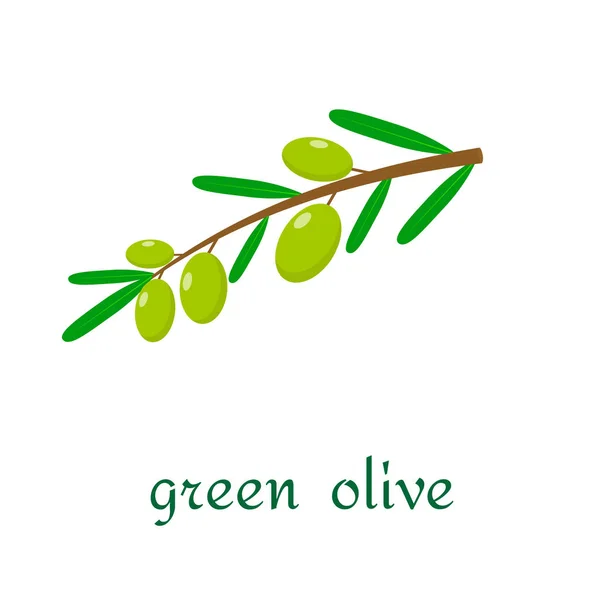 Vektor schwarze Oliven isolierte Linie Symbol — Stockvektor