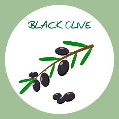 Düz stil Siyah Zeytin simgesini. Vektör çizim.
