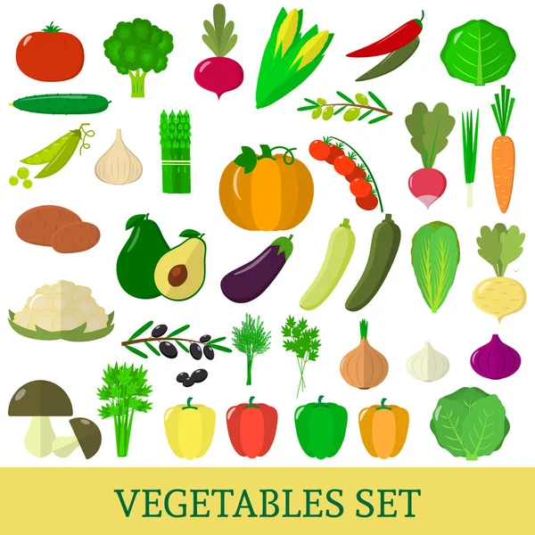 Un conjunto de ilustraciones vegetales frescas sobre un fondo blanco . — Vector de stock