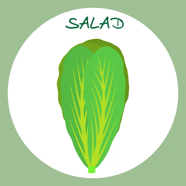 Salat-Ikone im flachen Stil. Vektorillustration. — Stockvektor