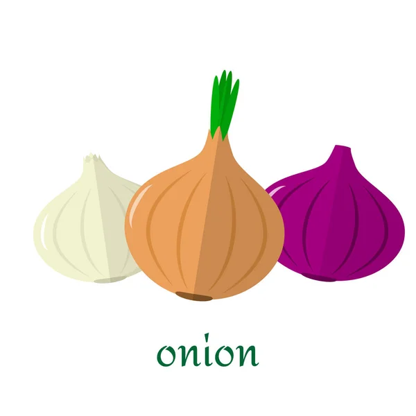 Onion icon in flat style isolated on white background. — Stock Vector