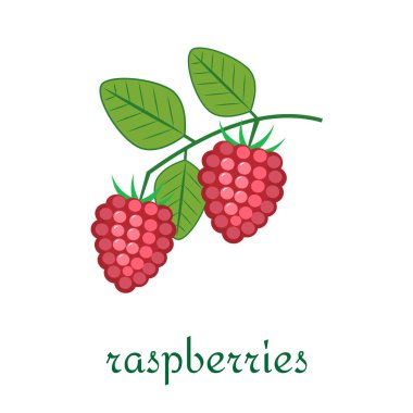 Düz stil beyaz arka plan üzerinde izole simgesinde ahududu.