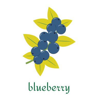 Düz stil beyaz arka plan üzerinde izole simgesinde yaban mersini.