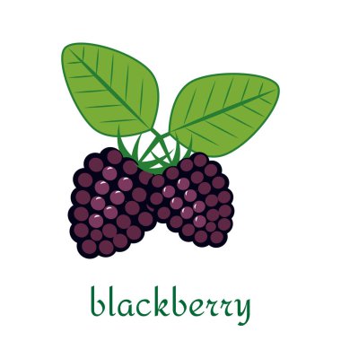 Düz stil beyaz arka plan üzerinde izole simgesinde BlackBerry.