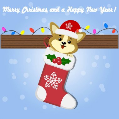 Şirin köpek yavrusu corgi santa hat ile Noel kartı. Bir önyükleme için hediyeler çelenk yanında oturuyor. Hafif Dondurucu arka plan üzerinde.