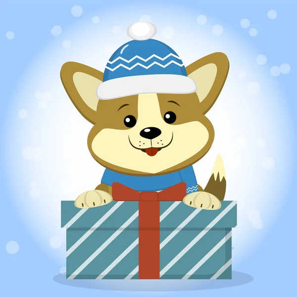 Weihnachtskarte mit einem niedlichen Corgi-Hund in blauer Mütze und Schal, der mit einer Geschenkschachtel vor einem Hintergrund aus Schnee sitzt. — Stockvektor
