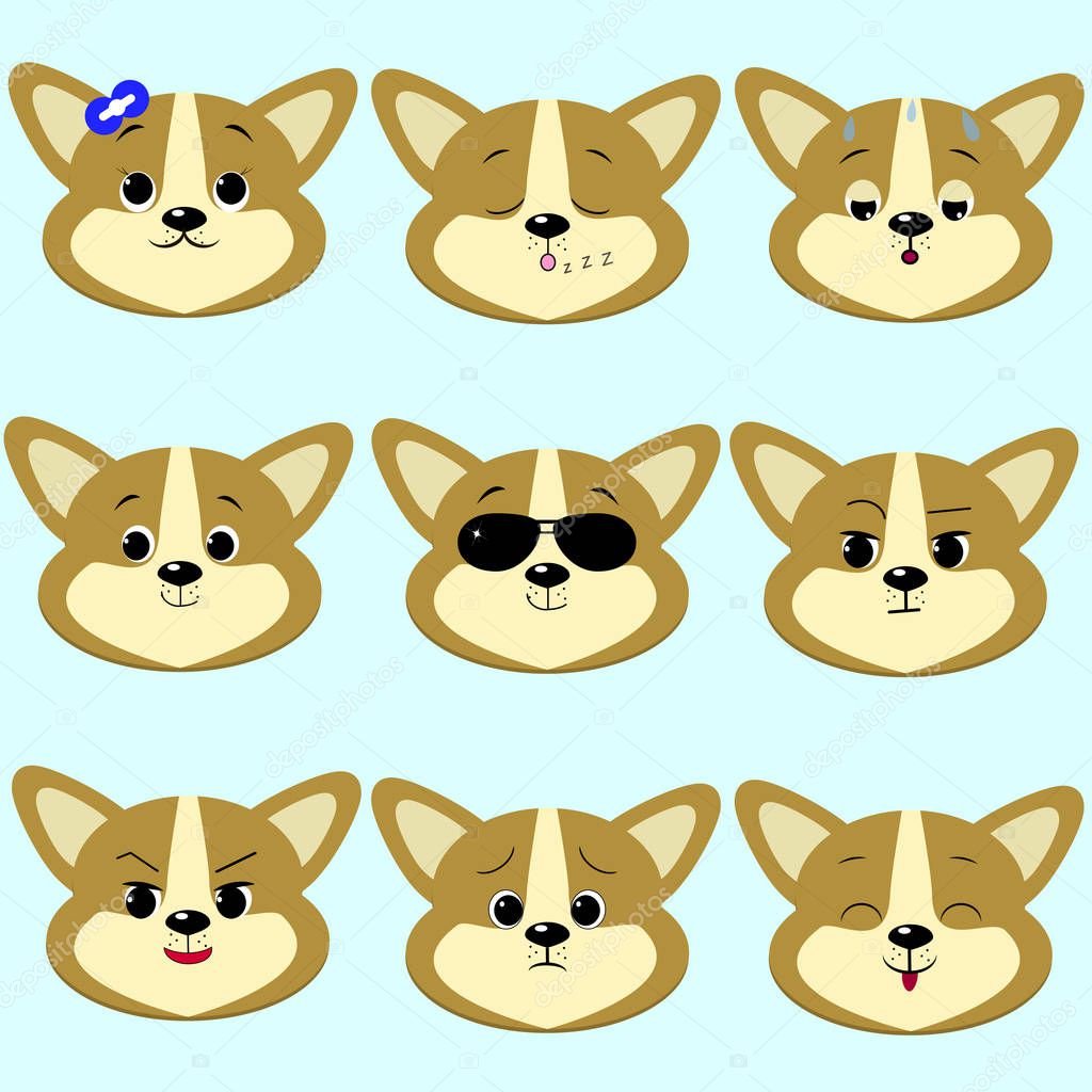 Dog Corgi smiley, a lot of different emotions. Cartoon style, flat design, vector illustration