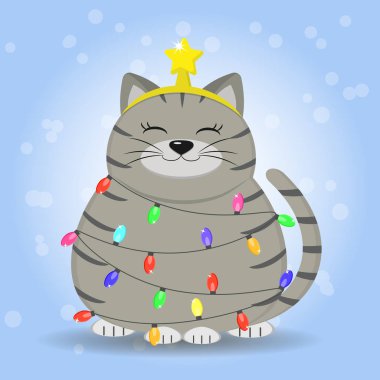 Gri saçlı Gri kedi bir şerit oturuyor, bir yıldız kafasında Noel ağacı gelen çelenk giymiş.