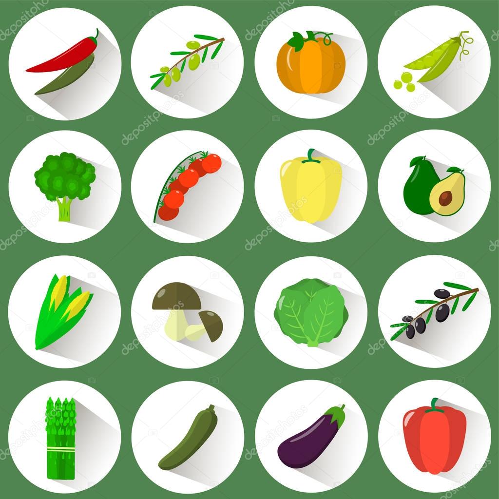 A set of icons of different vegetables in a white circle with a shadow on a green background.