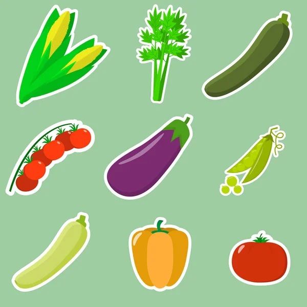 A set of fresh vegetables in a white stroke on a green background. — Stock Vector
