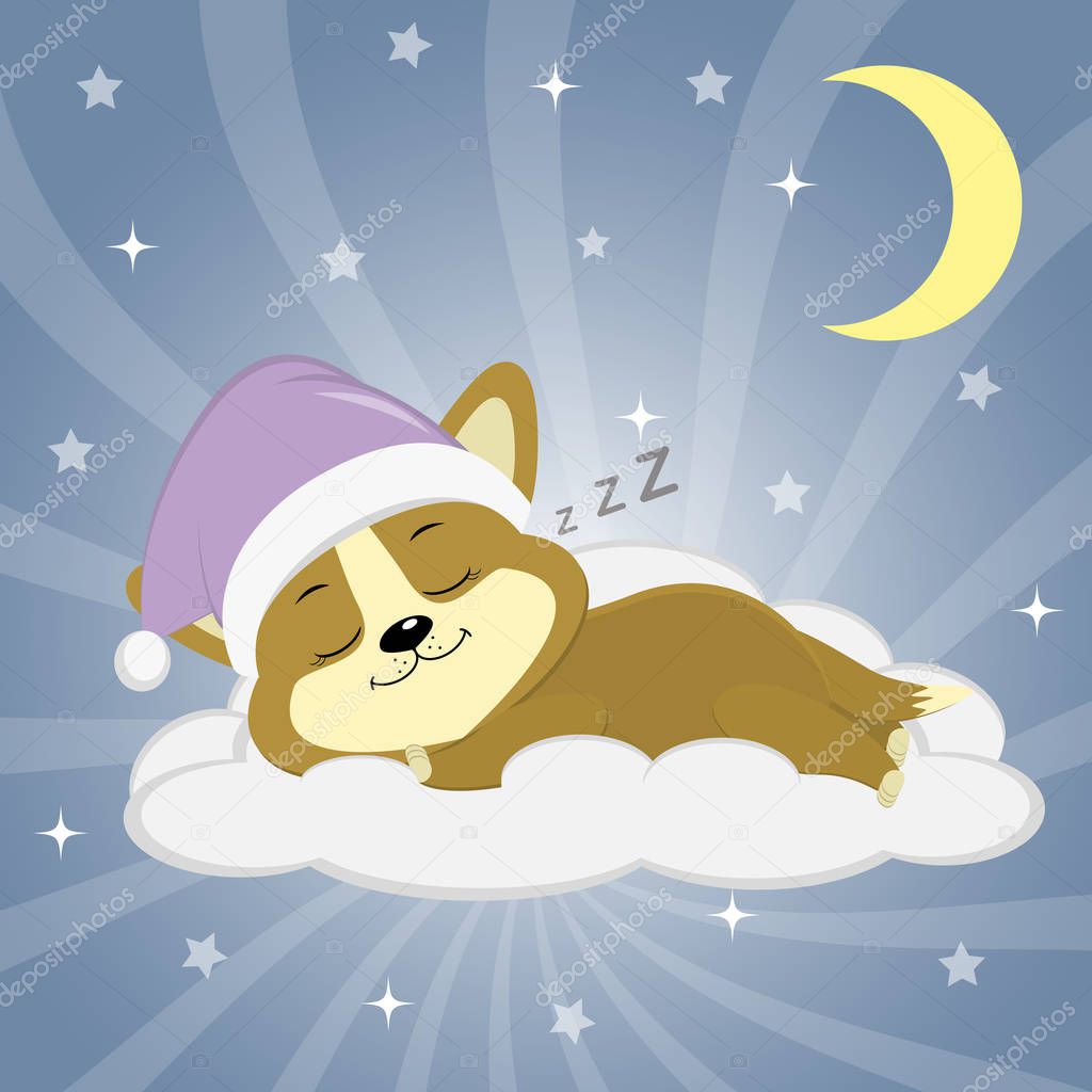 Cute puppy Corgi in a pink hat is sleeping on a cloud against the background of the night sky, moon and stars.