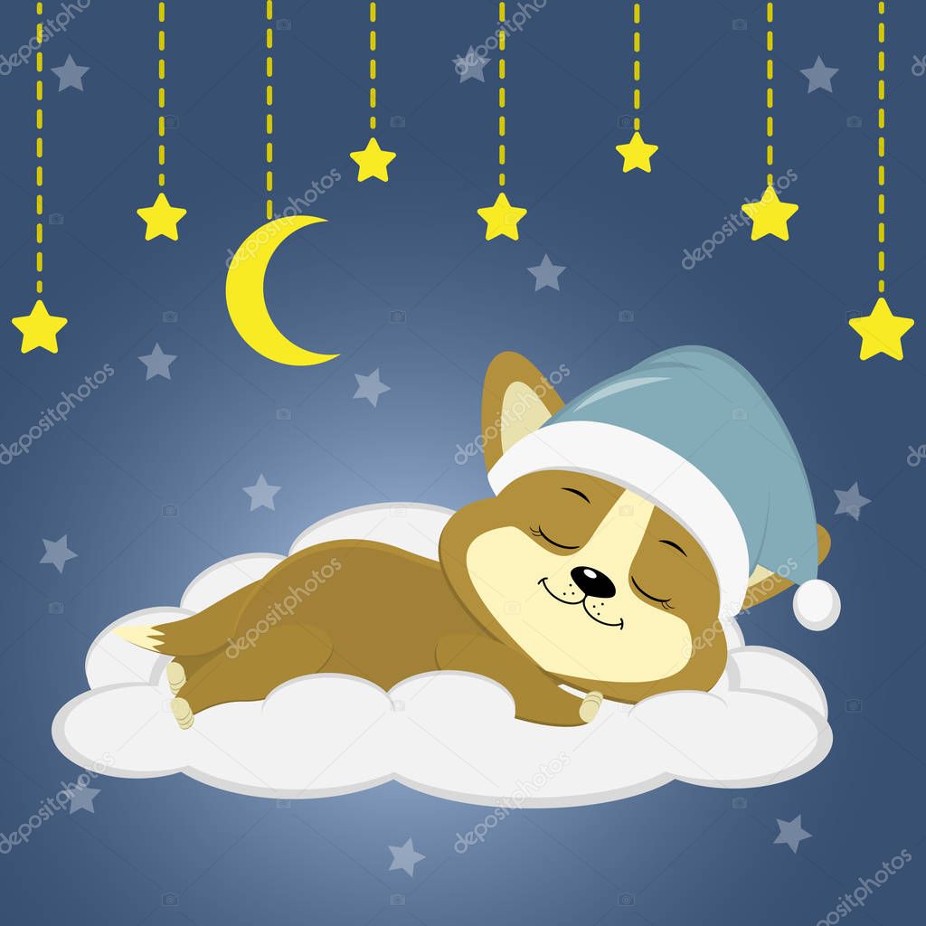Cute puppy Corgi in a green hat sleeping sleep on a cloud against a background of the night sky, moon and stars.