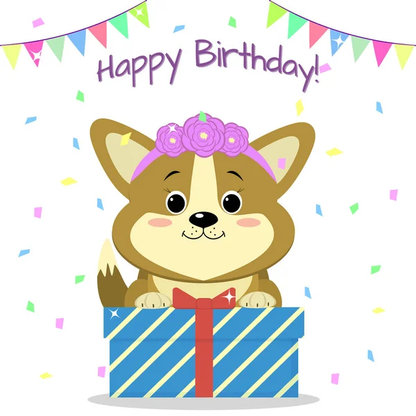 Köpek yavrusu Corgi gül ağızlı oturur ve bir kutu konfeti ve bayrakları arka planda bir hediye ile tutar. Doğum günün kutlu olsun. — Stok Vektör