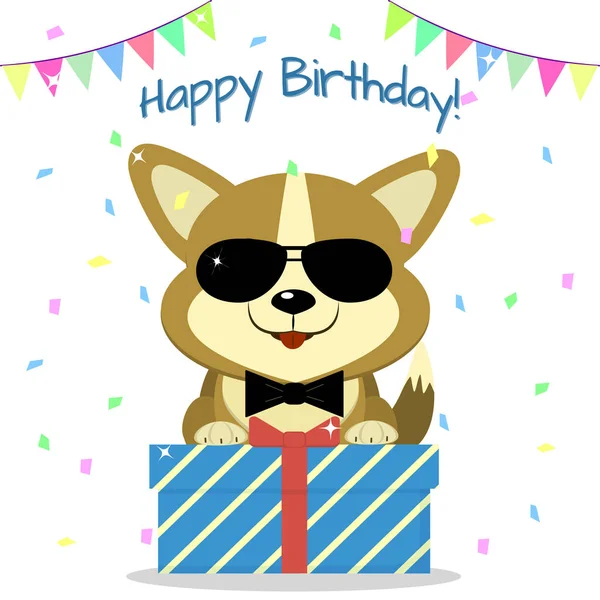 Kiskutya Corgi, fekete szemüveg és egy csokornyakkendő ül, és egy doboz egy ajándék a háttérben konfetti és gazdaság. boldog születésnapot. — Stock Vector