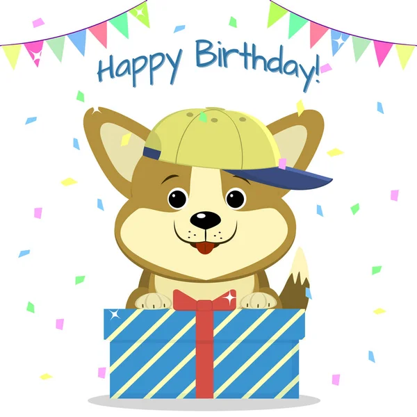 Köpek yavrusu Corgi Beyzbol şapkalı oturur ve bir kutu konfeti ve bayrakları arka planda bir hediye ile tutar. Doğum günün kutlu olsun. — Stok Vektör
