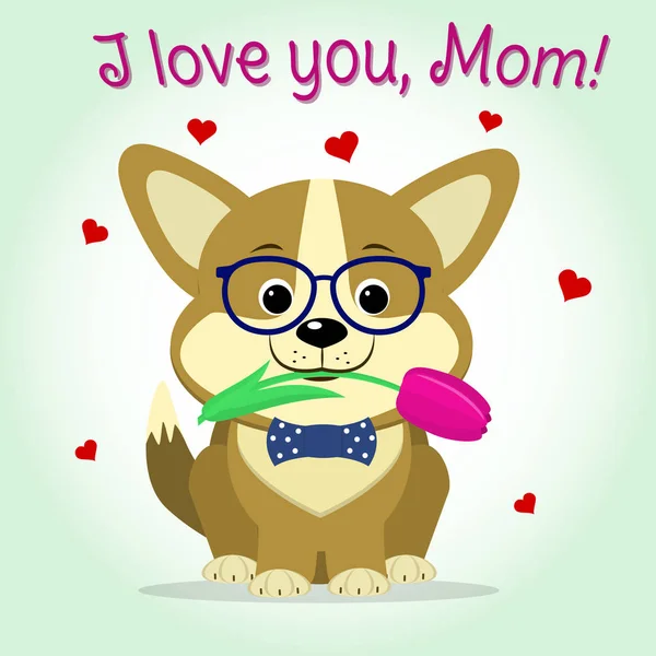 Puppy Corgi keeps a pink tulip, cartoon style. Congratulations. Happy Mothers Day. — Stock Vector