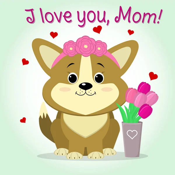 Puppy Corgi sits next to a vase with pink tulips, cartoon style. Congratulations. Happy Mothers Day. — Stock Vector