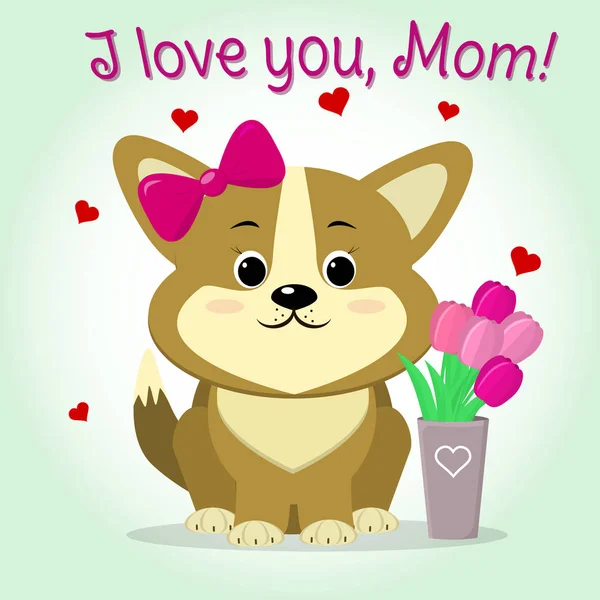 Puppy Corgi sits next to a vase with pink tulips, cartoon style. Congratulations. Happy Mothers Day. — Stock Vector