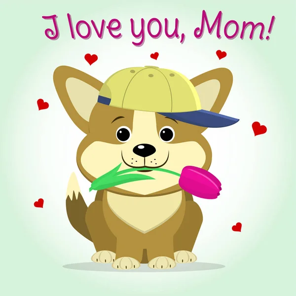 子犬のコーギーは、ピンクのチューリップ、漫画のスタイルを保持します。おめでとうございます。幸せな母の日. — ストックベクタ