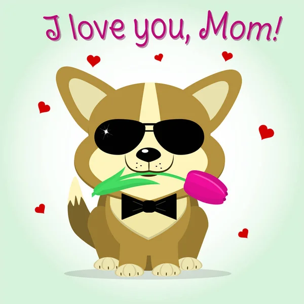 Köpek yavrusu Corgi Pembe Lale, karikatür tarzı tutar. Tebrikler. Mutlu anneler günü.