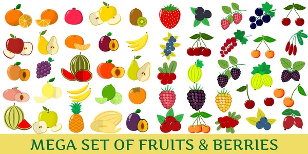 在白色背景上的巨型新鲜水果和浆果插图集. — 图库矢量图片