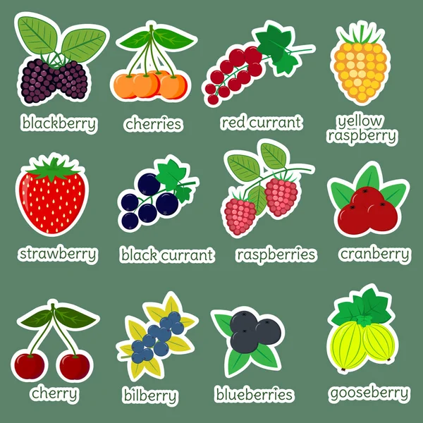 Sticker Kollektion von reifen Beeren, Symbol von zwölf Elementen in einem weißen Strich auf grünem Hintergrund mit Text. für Ihre Designkarten, Scrapbooking, Basteln. flaches Design, Vektorillustration — Stockvektor