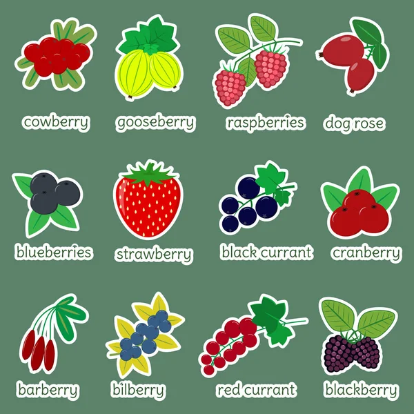 Sticker Kollektion von reifen Beeren, Symbol von zwölf Elementen in einem weißen Strich auf grünem Hintergrund mit Text. für Ihre Designkarten, Scrapbooking, Basteln. flaches Design, Vektorillustration — Stockvektor