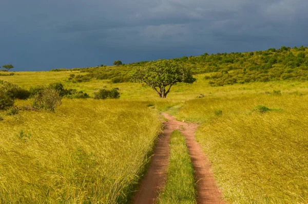 Afrikaanse weg in de savanne, Masai Mara national park, Kenia — Stockfoto