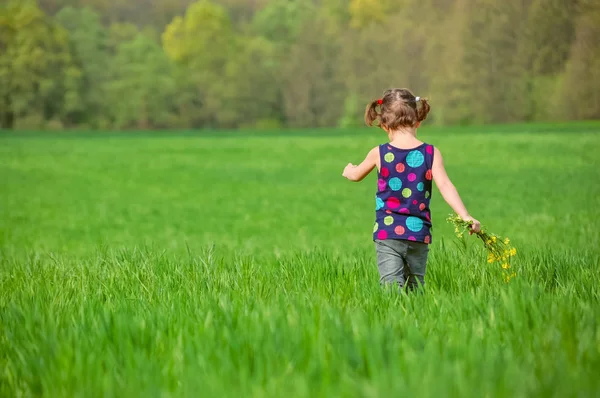 Niño en el prado verde de primavera, niño corriendo y divirtiéndose al aire libre —  Fotos de Stock