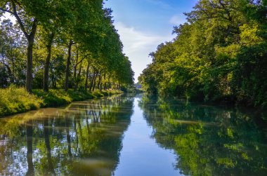 Canal du Midi, çınar ağaçları yansıma su, Güney Fransa