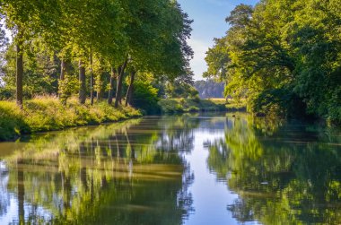 Canal du Midi, çınar ağaçları yansıma su, Güney Fransa