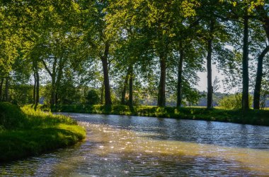 Canal du Midi, çınar ağaçları yansıma su, Güney Fransa