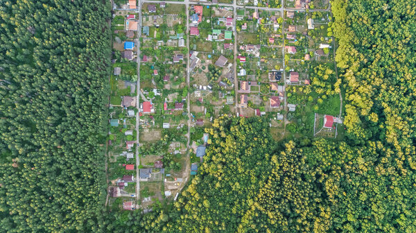 Aerial top view of residential area summer houses in forest from above, countryside real estate and small dacha village in Ukraine