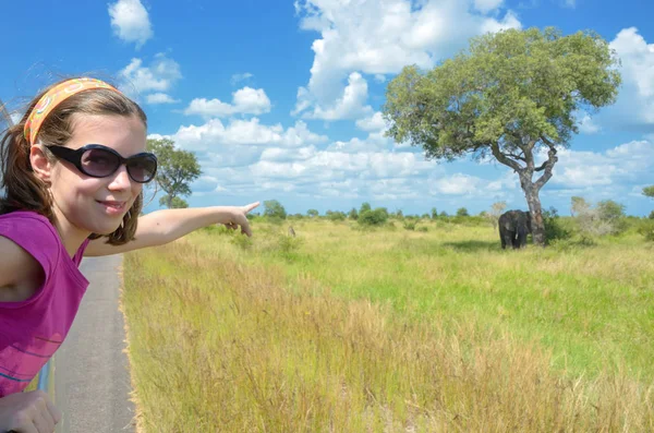 Família safari férias na África, criança de carro assistindo elefante em savana africana, parque nacional de Kruger vida selvagem — Fotografia de Stock