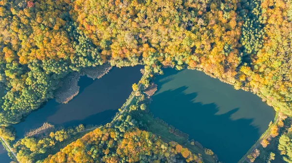 Fondo dorado de otoño, vista aérea del bosque con árboles amarillos y paisaje del lago desde arriba — Foto de Stock