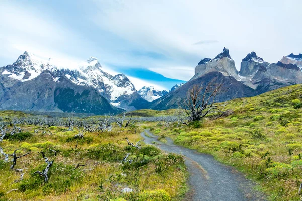 Nationalpark Torres Del Paine Berge Und Straßenlandschaft Patagonien Chile Südamerika — Stockfoto
