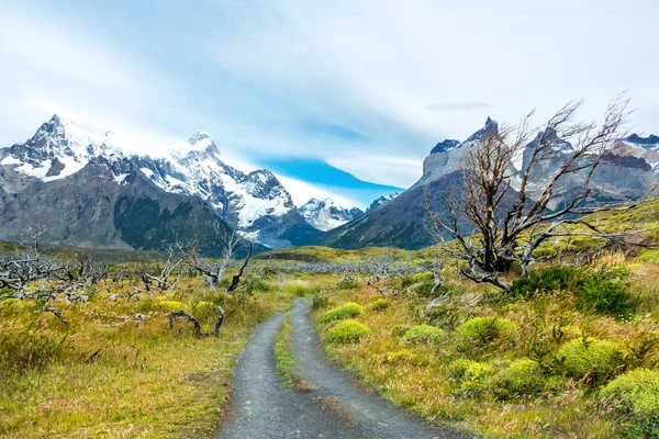 Национальный Парк Torres Del Paine Mountains Road Landscape Патагония Чили — стоковое фото