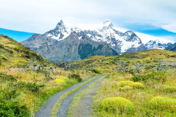 Национальный Парк Torres Del Paine Mountains Road Landscape Патагония Чили — стоковое фото