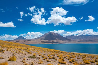 Manzara, Miniques, Şili, Güney Amerika'da Atacama Altiplana çöl, Laguna Miscanti Tuz Gölü ve dağlar
