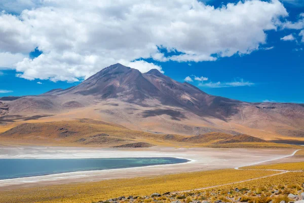 Altiplana アタカマ砂漠 ラグーナ Miscanti 塩の湖と山の風景 Miniques 南アメリカ — ストック写真