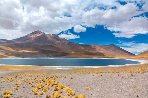 Έρημο Atacama Altiplana Laguna Miscanti Αλάτι Στη Λίμνη Και Βουνά — Φωτογραφία Αρχείου