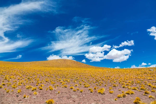 Altiplana アタカマ砂漠サバンナと山の風景 Miniques 南アメリカ — ストック写真