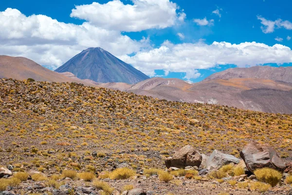 Atacama Altiplana Savanna Och Bergen Ökenlandskap Miniques Chile Sydamerika — Stockfoto